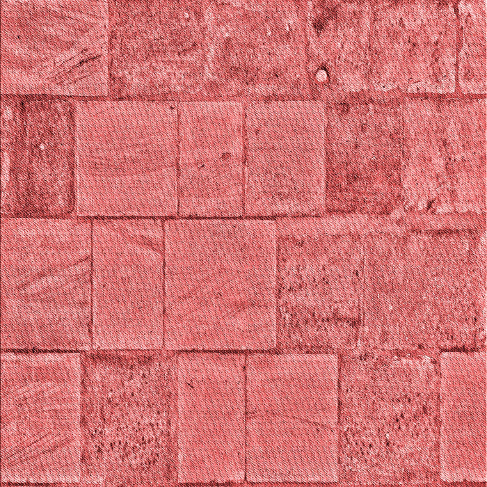 Machine Washable Transitional Ruby Red Rug, wshpat2858rd