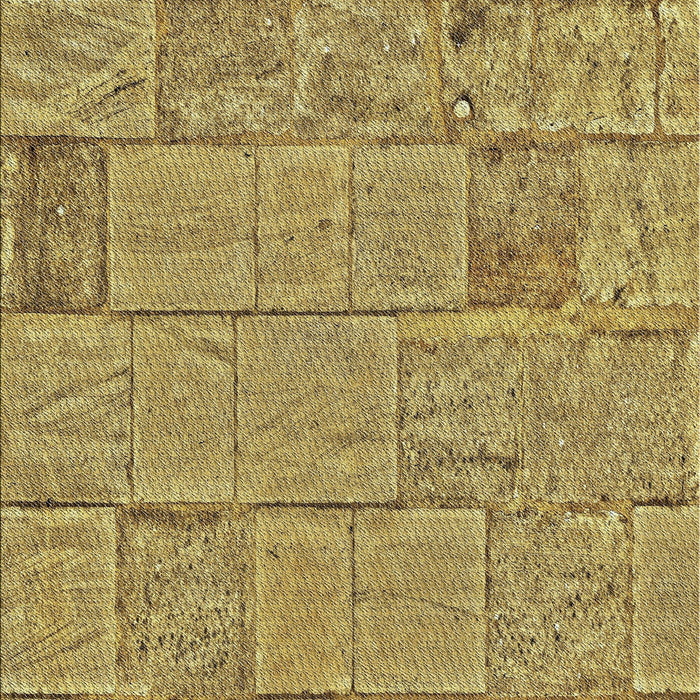 Machine Washable Transitional Chrome Gold Yellow Rug, wshpat2858