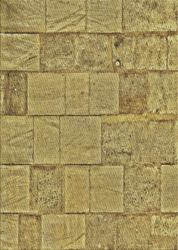 Patterned Chrome Gold Yellow Novelty Rug, pat2858