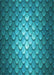 Patterned Teal Green Rug, pat2859lblu