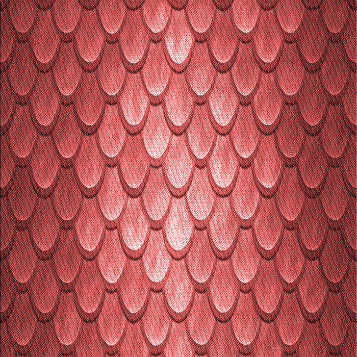 Machine Washable Transitional Red Rug, wshpat2859rd