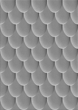 Machine Washable Transitional Silver Gray Rug, wshpat2860