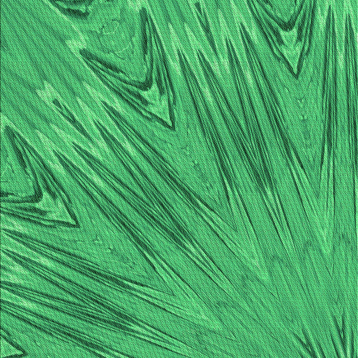 Machine Washable Transitional Neon Green Rug, wshpat2861grn
