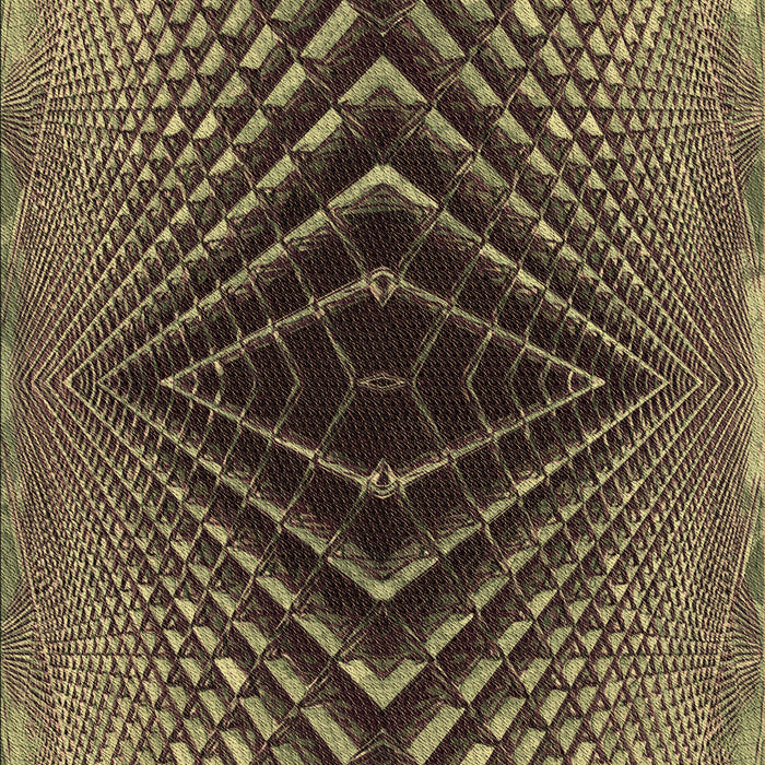 Machine Washable Transitional Bakers Brown Rug, wshpat2862brn