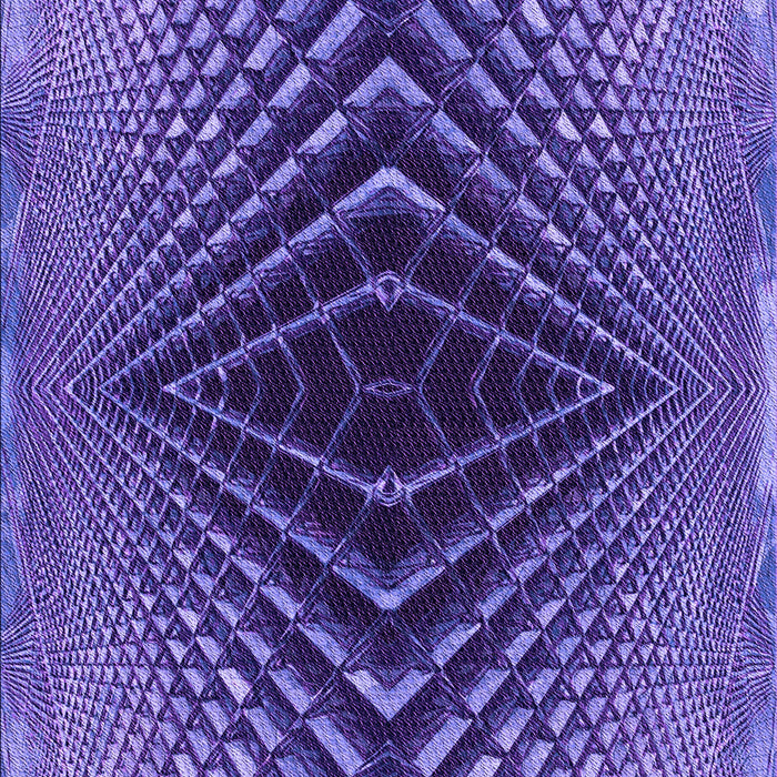 Machine Washable Transitional Bright Purple Rug, wshpat2862pur