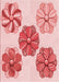 Patterned Pink Rug, pat2863rd