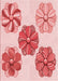 Machine Washable Transitional Pink Rug, wshpat2863rd