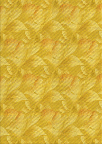 Machine Washable Transitional Gold Yellow Rug, wshpat2864yw