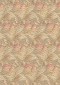 Machine Washable Transitional Brown Gold Rug, wshpat2864