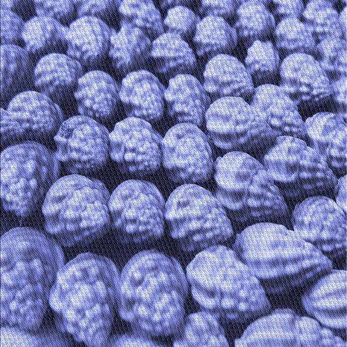 Patterned Denim Blue Rug, pat2866blu