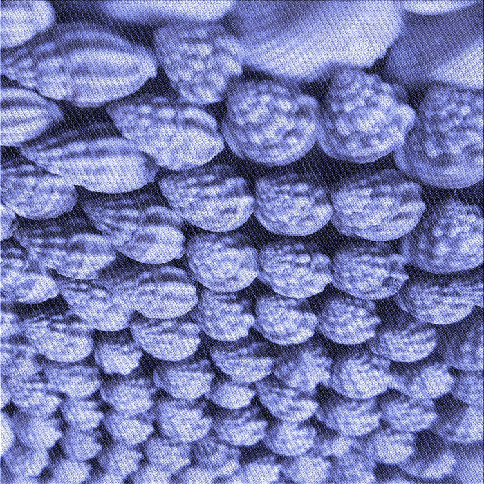 Round Patterned Denim Blue Rug, pat2866blu