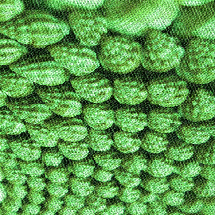 Round Patterned Green Rug, pat2866grn