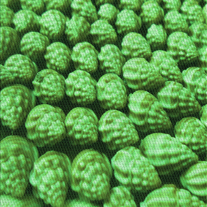 Patterned Green Rug, pat2866grn