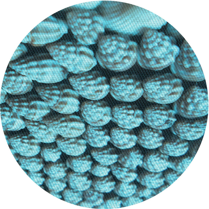 Square Patterned Blue Rug, pat2866lblu