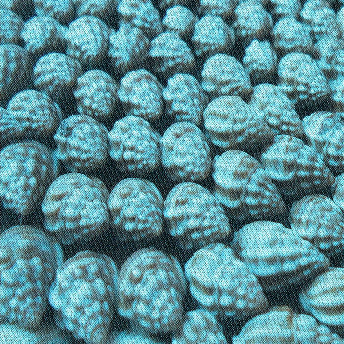 Patterned Blue Rug, pat2866lblu