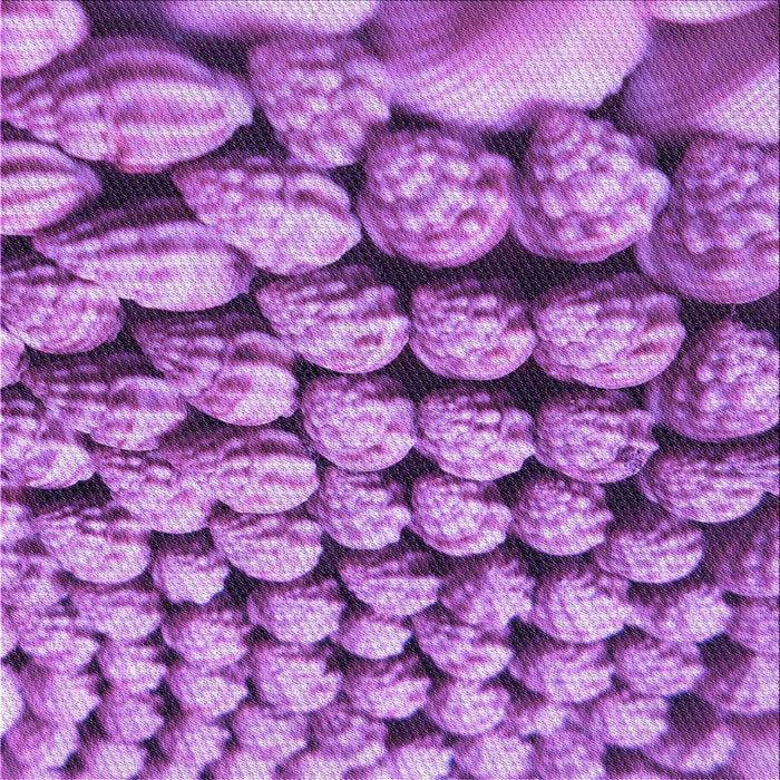 Round Patterned Violet Purple Rug, pat2866pur