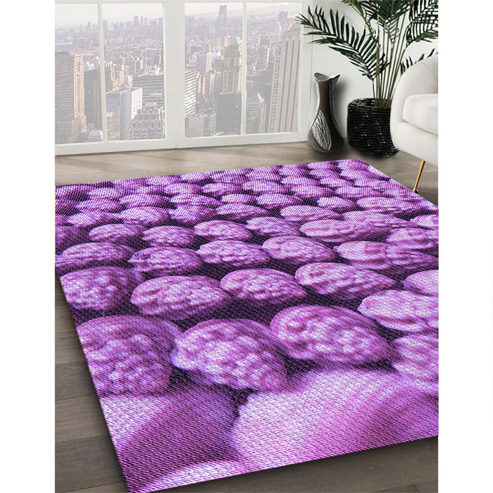 Machine Washable Transitional Violet Purple Rug in a Family Room, wshpat2866pur