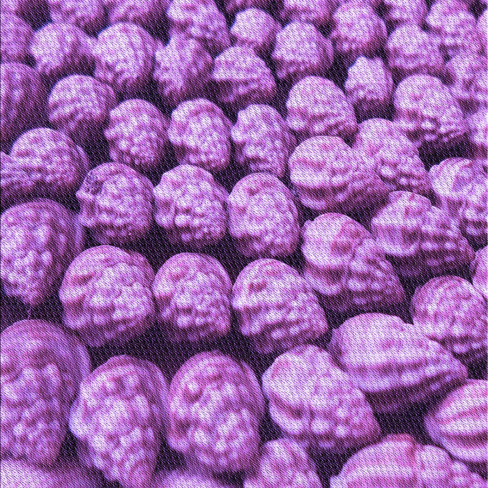 Patterned Violet Purple Rug, pat2866pur