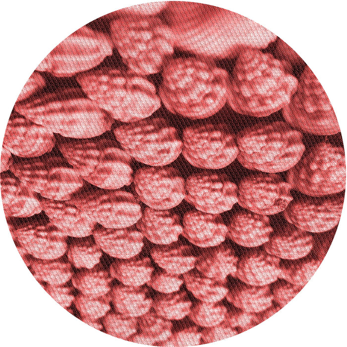 Square Patterned Red Rug, pat2866rd