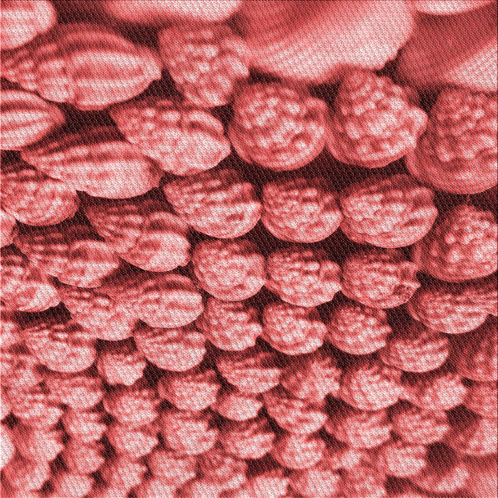 Round Patterned Red Rug, pat2866rd