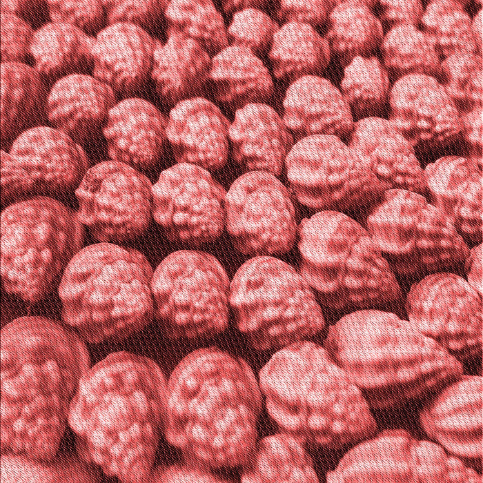 Patterned Red Rug, pat2866rd