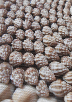 Machine Washable Transitional Dark Brown Rug, wshpat2866