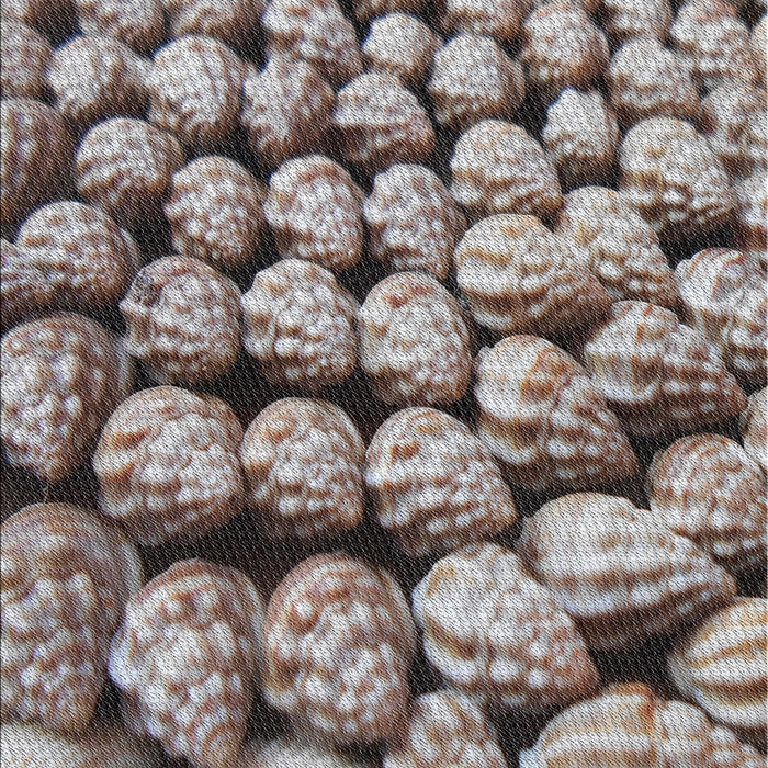 Patterned Dark Brown Novelty Rug, pat2866