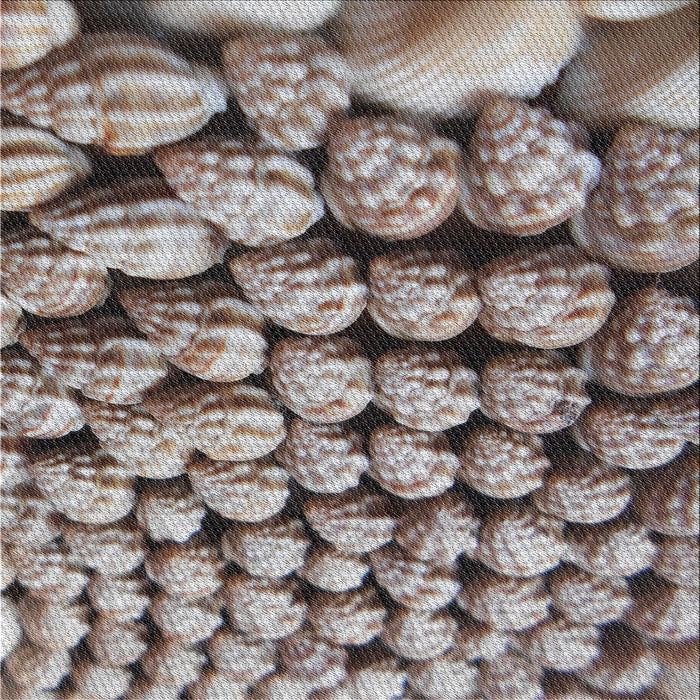 Sideview of Machine Washable Transitional Dark Brown Rug, wshpat2866