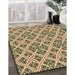 Machine Washable Transitional Sepia Brown Rug in a Family Room, wshpat2867brn