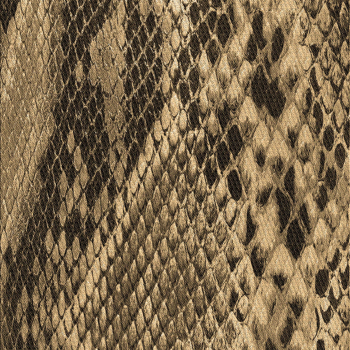 Machine Washable Transitional Bakers Brown Rug, wshpat287brn