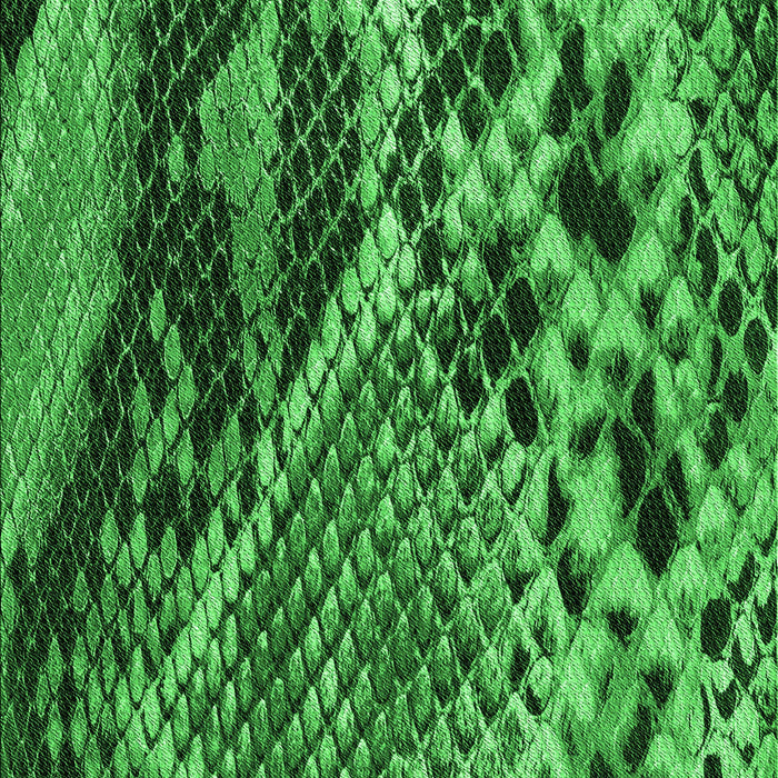 Machine Washable Transitional Deep Emerald Green Rug, wshpat287grn