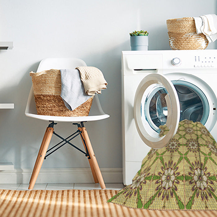 Machine Washable Transitional Light Brown Rug in a Washing Machine, wshpat2872brn