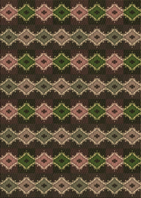 Machine Washable Transitional Brown Rug, wshpat2877brn