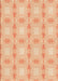 Machine Washable Transitional Pastel Orange Rug, wshpat2879org