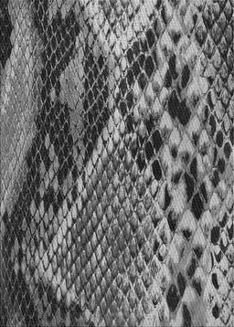 Patterned Charcoal Black Novelty Rug, pat287