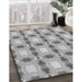 Machine Washable Transitional Platinum Gray Rug in a Family Room, wshpat2880gry