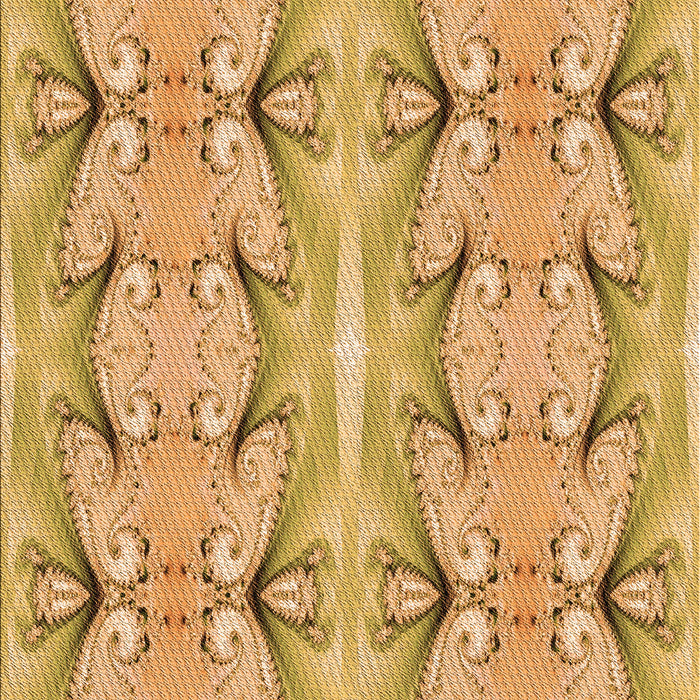 Machine Washable Transitional Orange Rug, wshpat2895org