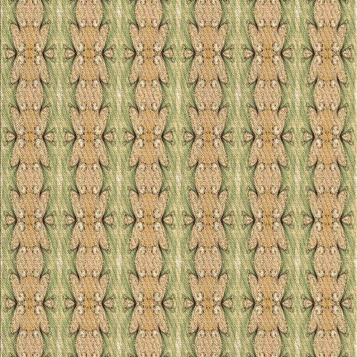 Machine Washable Transitional Dark Golden Brown Rug, wshpat2896brn