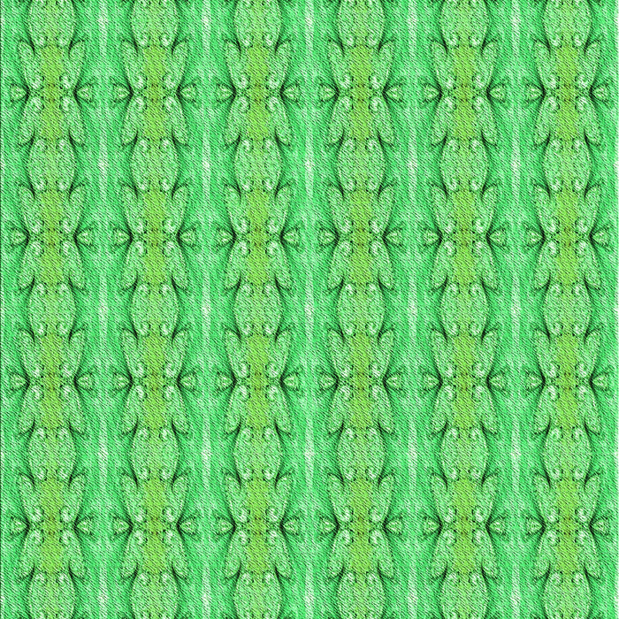 Machine Washable Transitional Neon Green Rug, wshpat2896grn