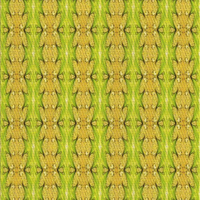 Machine Washable Transitional Dark Golden Brown Rug, wshpat2896yw