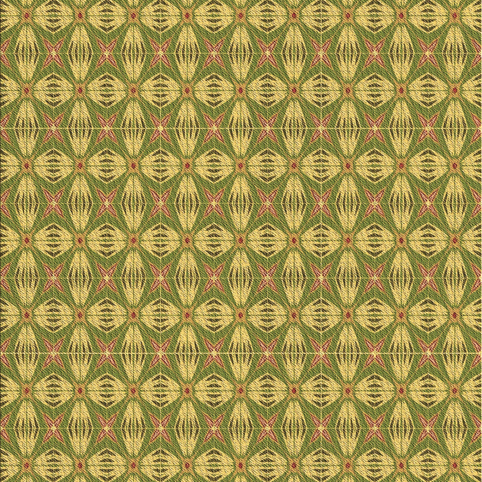 Patterned Dark Yellow Green Rug, pat2897brn
