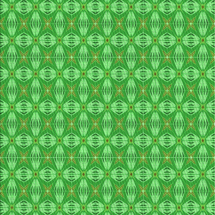 Machine Washable Transitional Neon Green Rug, wshpat2897grn