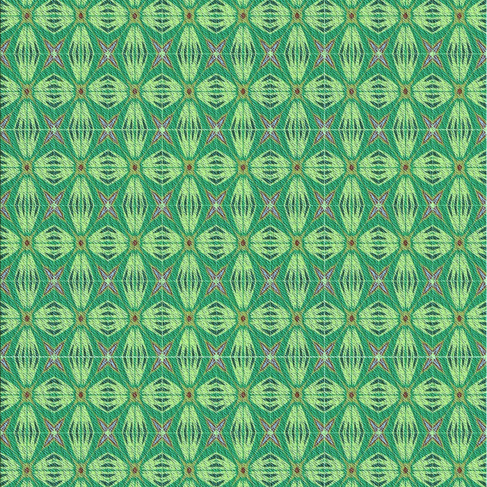 Machine Washable Transitional Green Rug, wshpat2897lblu