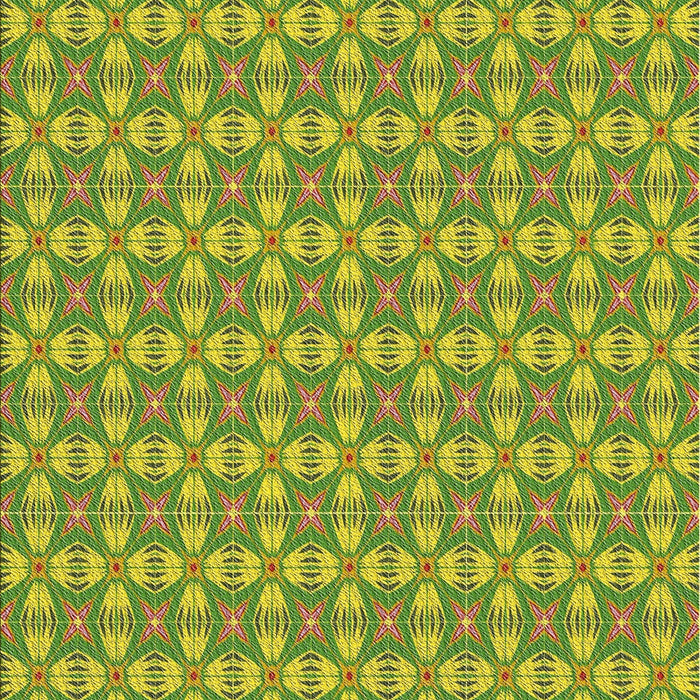 Machine Washable Transitional Green Rug, wshpat2897