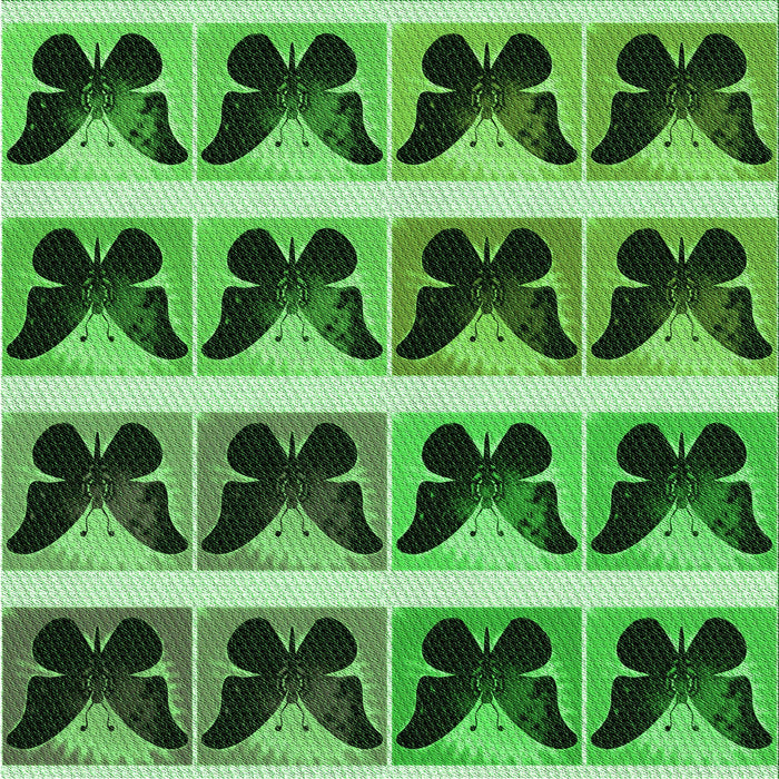 Round Machine Washable Transitional Deep Emerald Green Rug, wshpat2899grn