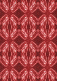 Machine Washable Transitional Red Rug, wshpat2904rd