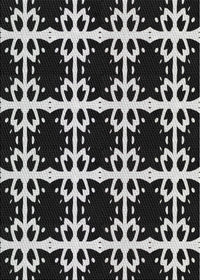 Machine Washable Transitional Black Rug, wshpat2908