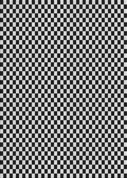 Patterned Light Gray Novelty Rug, pat292