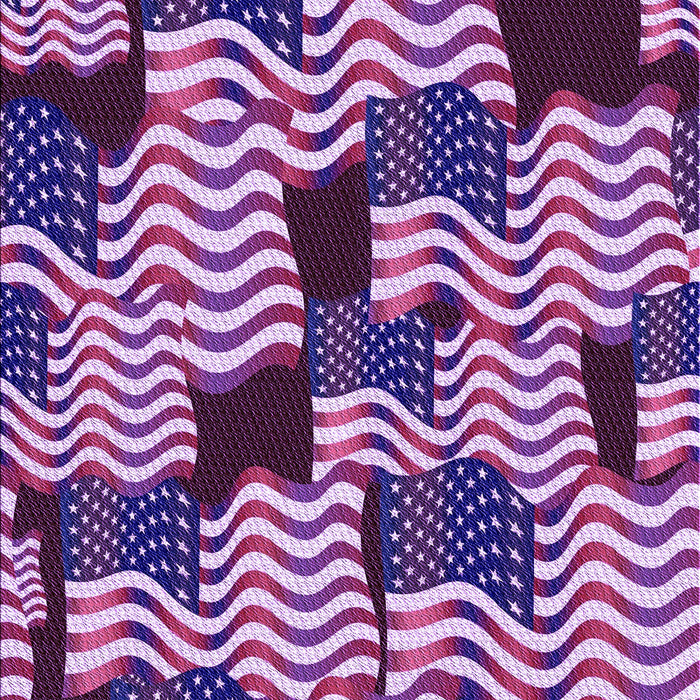 Machine Washable Transitional Dark Magenta Purple Rug, wshpat2933pur