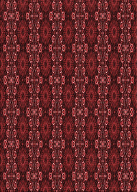 Machine Washable Transitional Maroon Red Rug, wshpat294rd